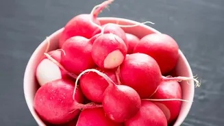 Radish Adds Hydration and Crunch Without Much Energy
