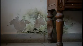 Indian Flats Need A Different Home-Care Routine During Damp Weather