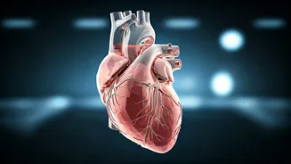 5 Silent Signals of Heart Trouble in Your 20s & 30s