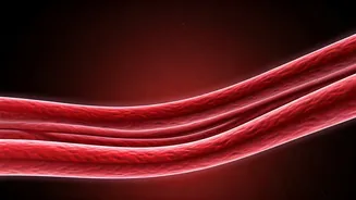 Artery Health: Unveiling Hidden Risks & Protecting Your Heart