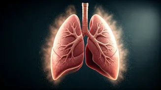 Delhi's Dust Woes: Expert Insights on Protecting Your Lungs from Airborne Particles