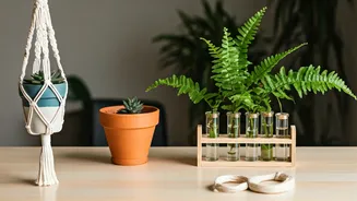 DIY Plant Decor Is Budget-Friendly And Pretty