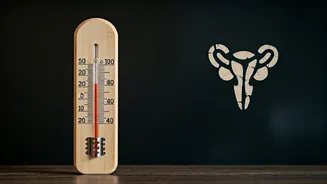 Related Stories banner