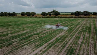 AI Revolutionizes Indian Agriculture with Smarter Solutions