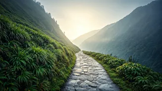 Sikkim's Misty Trails Are Calling Travellers