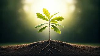 Wisdom from a 26-Year Microsoft Veteran: Navigating Tech Layoffs with Resilience