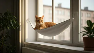 Feline Window Hammocks Maximize Vertical Spaces In Tight Apartments