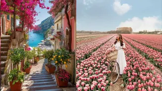 Related Stories banner