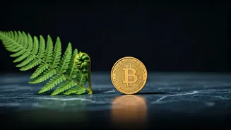 Sagittarius Today, April 9, 2026: Embrace Small Triumphs & Deliberate Progress