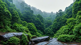 Gujarat's Monsoon Moodboard Starts At Saputara