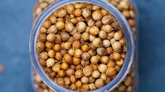 The ₹220/Kg Coriander Problem: What Monsoon Rains Have To Do With It