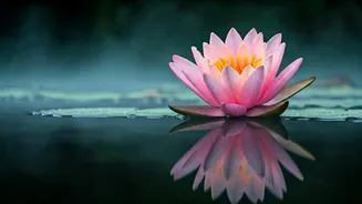 5 Morning Mantras for a Positive & Focused Workday Start