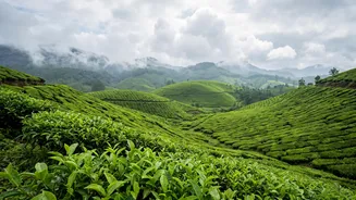 Why Monsoon Is One Of India's Best Seasons For Landscape Photography