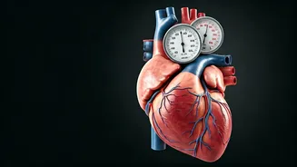 Morning Habits Can Raise Your Blood Pressure