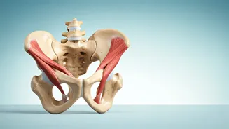 Combat Desk Slouch: 3 Exercises for Hip Health