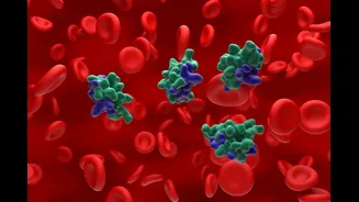 Endocrinologista aponta sinais que indicam resistência à insulina