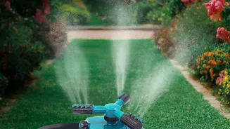 Monsoon Garden Maintenance: Check These Things Before Watering
