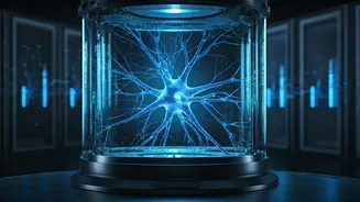 Brain Power: Groundbreaking Data Centers Fueled by Lab-Grown Human Neurons