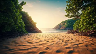 Travel Platforms Note Spike In Secluded Konkan Beach Camps