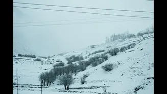 Early snowfall in Uttarakhand and Himachal Pradesh brings chill to northern plains