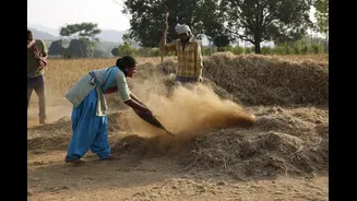 Andhra Pradesh braces for El Niño impact with mitigation plans