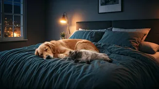 Related Stories banner