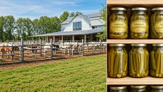 Gaurav Taneja's Rs 10 Crore Farmhouse: 200 Cows, Achaar Empire, and Sustainable Living