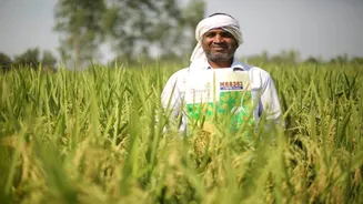 Related Stories banner