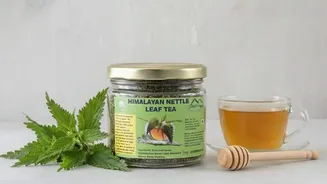 Why you must include nettle leaf tea in your diet