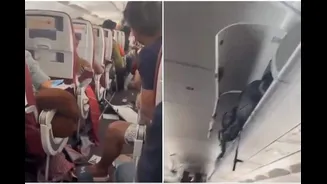 Air India AI2379 Probe: France's BEA To Join Investigation Into Phuket-Delhi Flight Incident