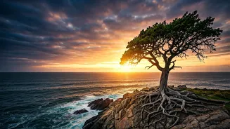 The Resilience Recipe: Falling Seven Times, Rising Eight with Paulo Coelho