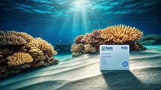 Dive Deeper: Hindi eLearning Unlocks Underwater Adventures for Indians