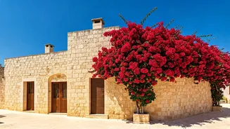 Puglia Unveiled: Your Essential Guide