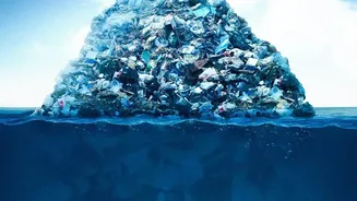Carbon Removal Trade-Offs Comes Into View Through The New Ocean Iron Study