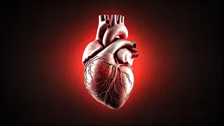 Fasting for Fitness: Is Your Heart Paying an Unseen Price? Experts Weigh In