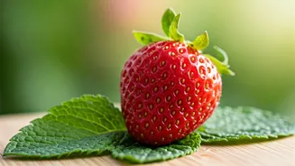 Summer Skincare Secrets: Expert Guide to a Radiant Season