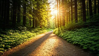 Gen Z Swaps Dark Gym Basements For Scenic Glowmad Trails