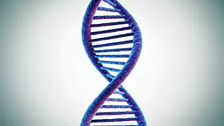Can Genetic Tests Reveal Your Cancer Risk?
