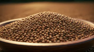 Rainfall Worries Put Nutritious Grains Back In Focus