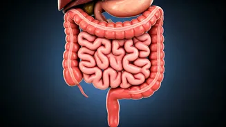 10 Habits for Gut Health: Simple Steps from a Doctor