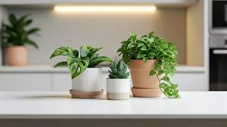 Kitchen-Counter Plants Are Turning Corners Into Mood Boards