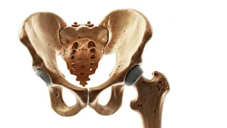 Boost Bone Strength: 5 Mobility Moves for 30+