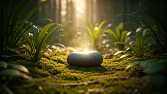 Embracing Serenity: Surrendering Control for True Peace, Inspired by Jack Kornfield