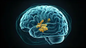 Related Stories banner