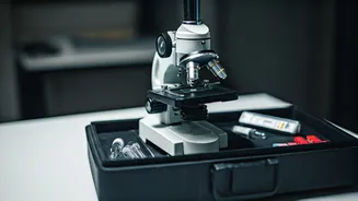 India's 100-Day TB Blitz: A Bold Leap Towards Eradication