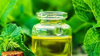 Zero waste herb oil infusions convert leftover mint and coriander stems into flavor