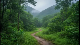 Nature Escapes Around Delhi Worth Visiting This Month