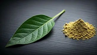 Ashwagandha Leaves Banned by FSSAI: What You Need to Know About This Popular Herb