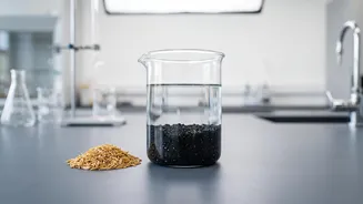 How Bio-Char Made From Rice Husks Purifies Urban Water Supplies At Low Cost