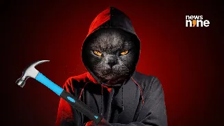 BlueHammer: Researcher drops Windows zero day exploit, says “I was not bluffing Microsoft”